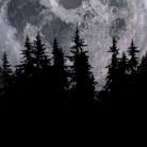 Meet your Posher, Lilly